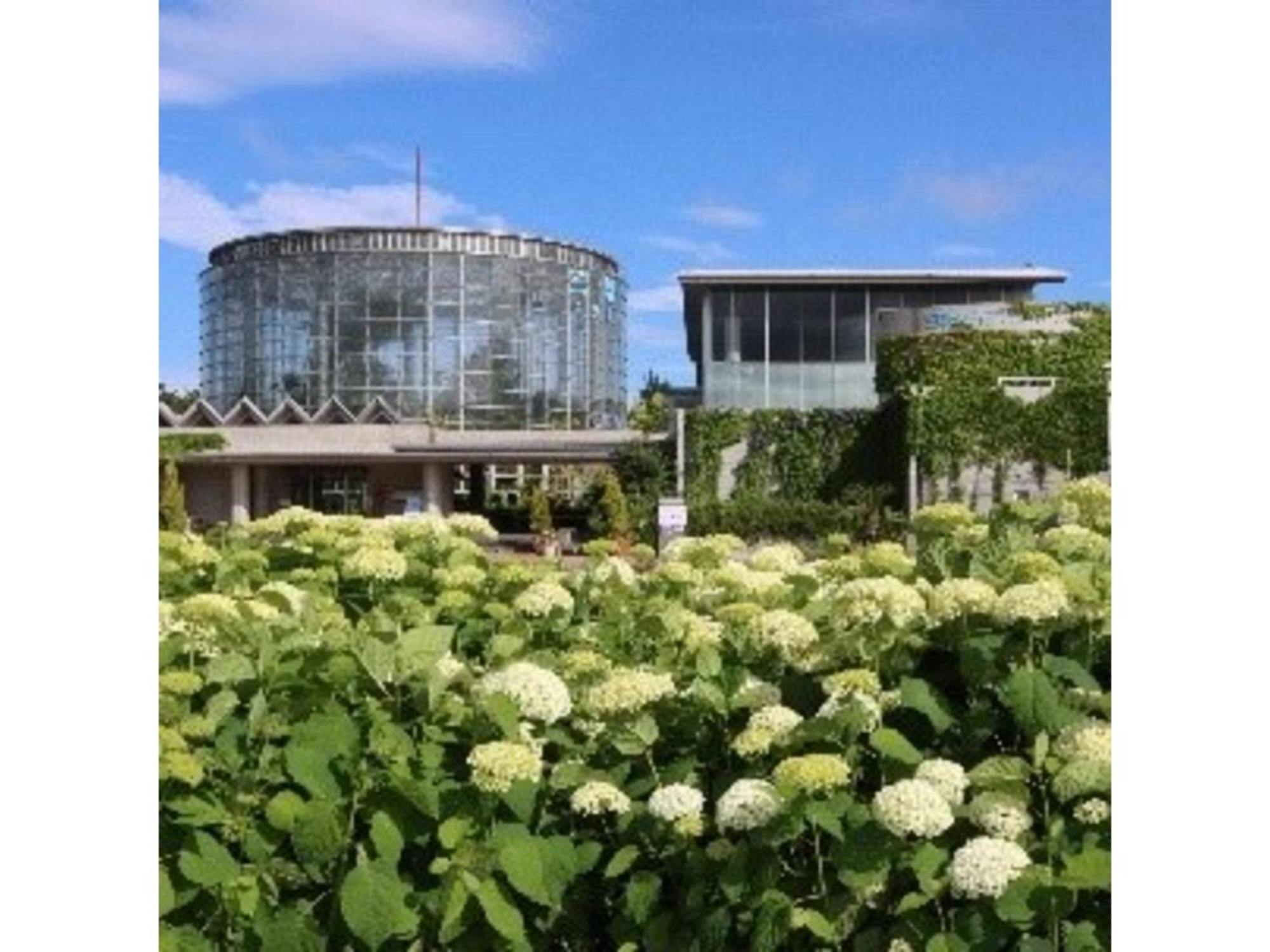 Hotel Tetora Makuhari Inagekaigan - Vacation Stay 90828V Chiba Exterior foto